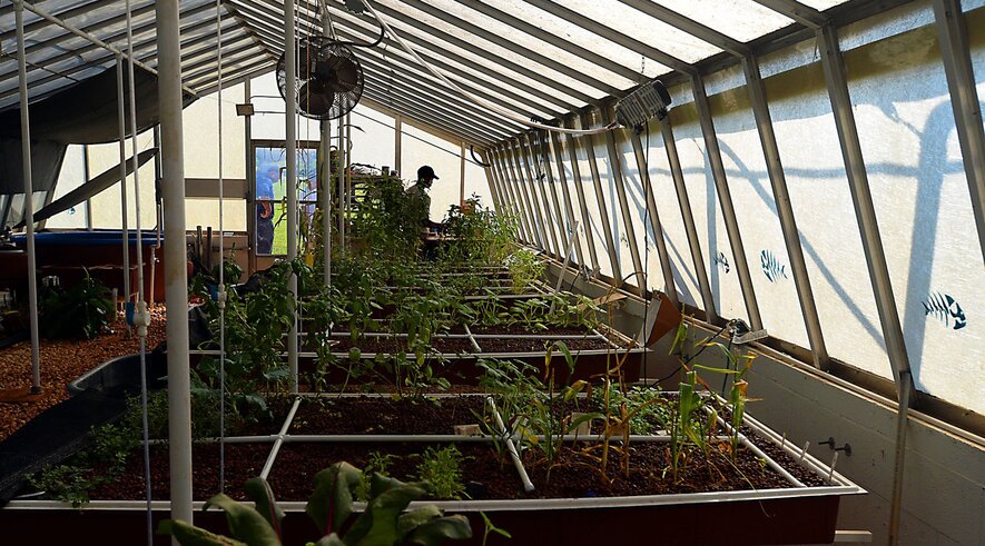 aquaponic credit courses - aquaponics uwsp