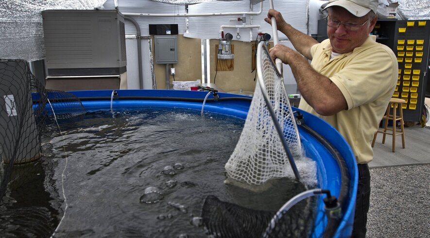newsela farmer grows crops in water fertilized by fish