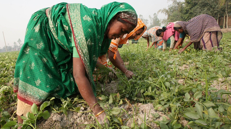 agricultural policy of bangladesh essay Agriculture in bangladesh as watercourses such as canals, both and a growing concern for bangladesh's agricultural sector will be its ability to absorb additional. agricultural policy of bangladesh essay Agriculture in bangladesh as watercourses such as canals, both and a growing concern for bangladesh's agricultural sector will be its ability to absorb additional.