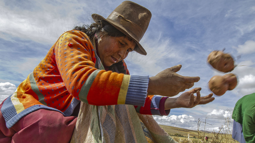 Newsela | Breathing new life into Incan farming practices
