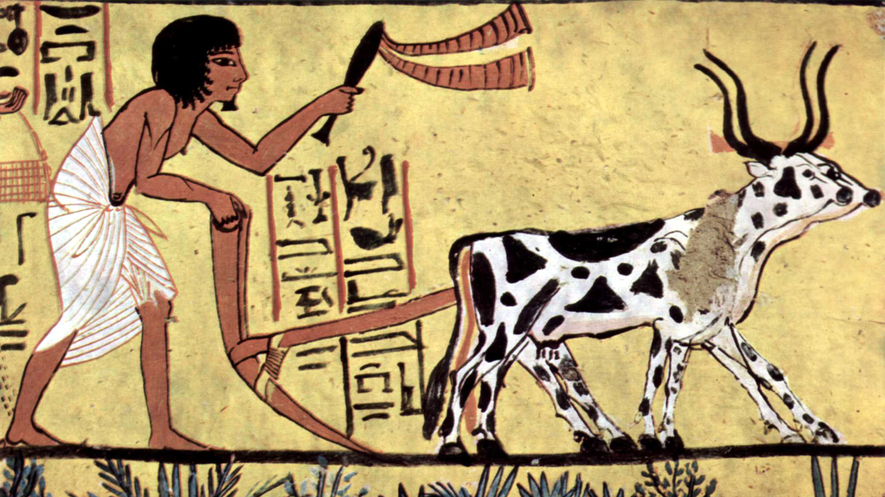 newsela ancient egypt the egyptians social structure