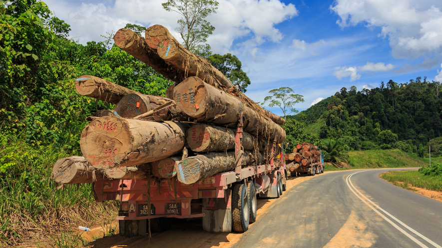 newsela understanding tropical deforestation