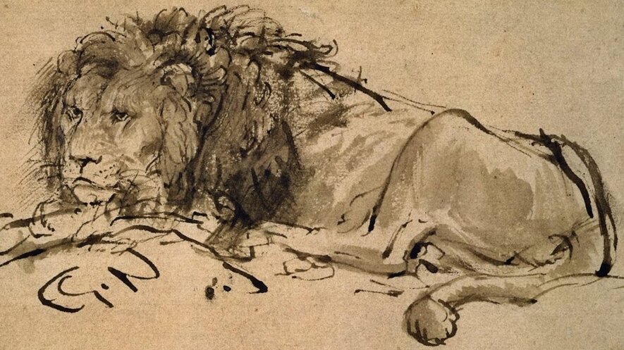 A pen drawing of a lion by the Dutch artist Rembrandt, who lived about 400 years ago. Image from: Wikimedia Commons.