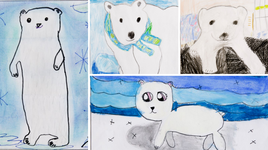 image 1 children from all over oregon submitted their entries for the nora the polar