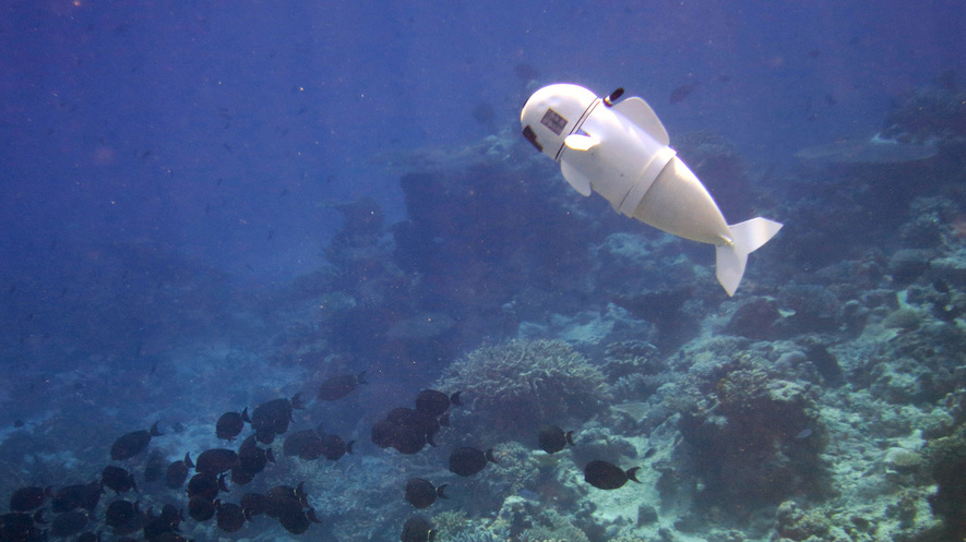 newsela fishy looking robot