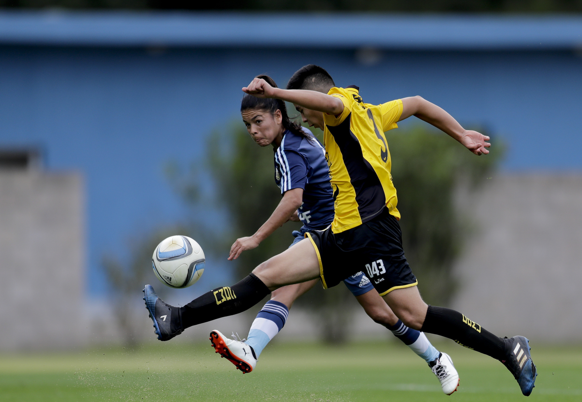 soccer argentine