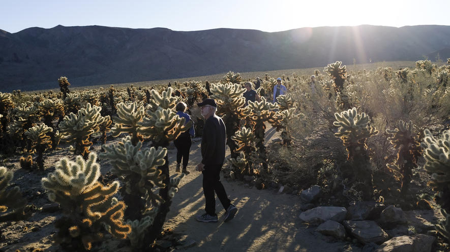 Large groups continued to pour into Joshua Tree National Park in California on December 30, 2018, despite the federal government's partial shutdown. Park officials kept the gates to the park open over the holiday weekend, allowing visitors to enter without paying the $30-per-vehicle entrance fee. Photo by: Washington Post photo/Nick Kirkpatrick