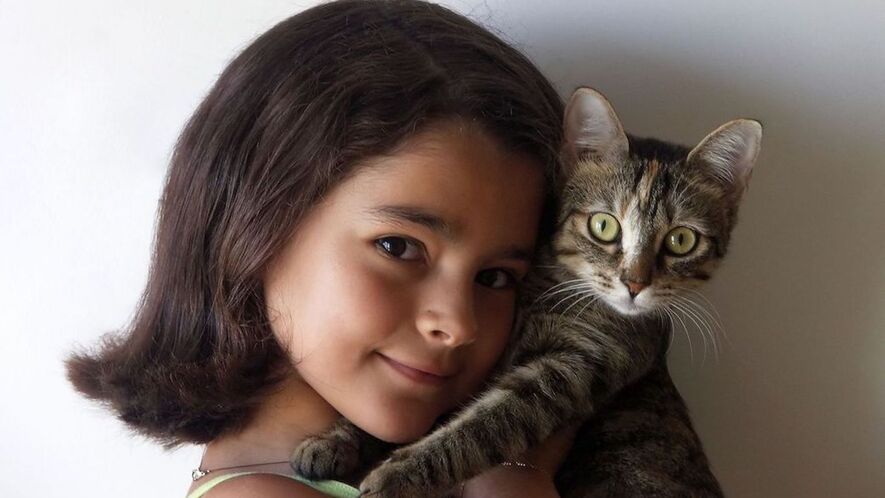 Newsela Meow Hear This Study Says Cats React To Sound Of Their Name