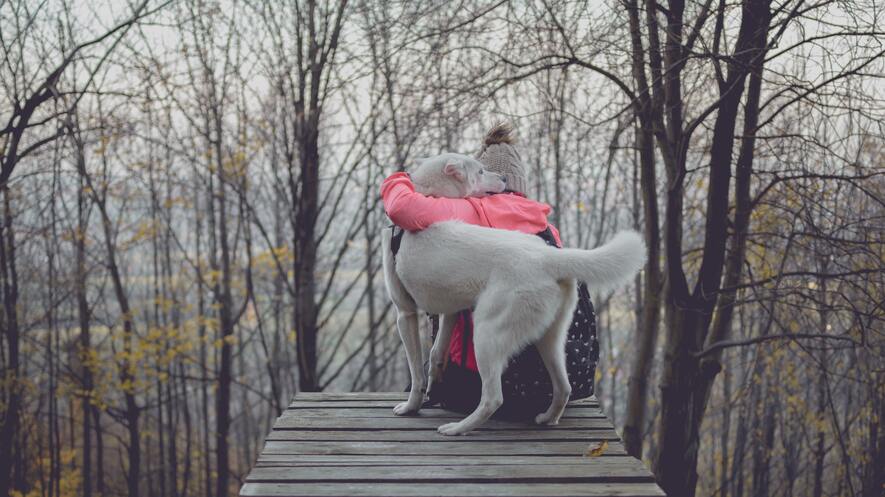 A person sits on a wooden deck with their arm around a dog.
