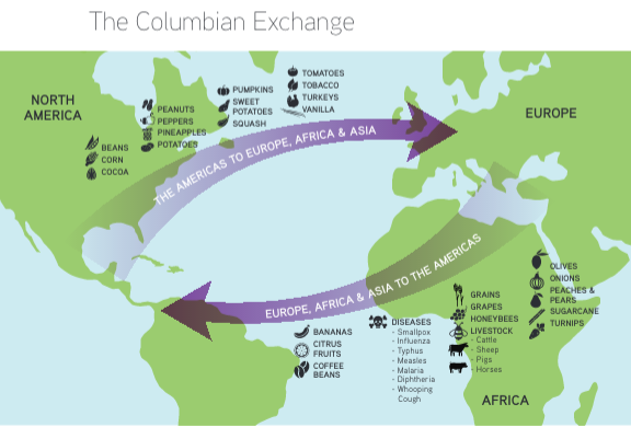 Columbian Exchange Chart