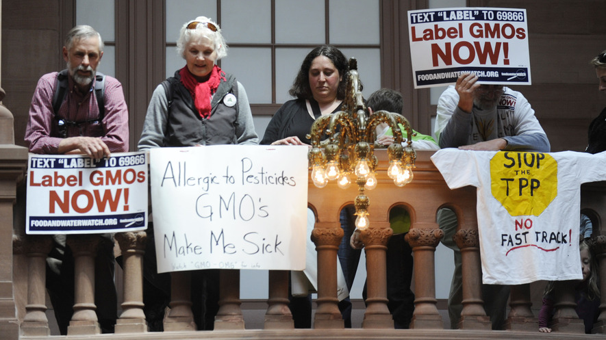 Newsela | PRO/CON: Is it time to label GMO foods?