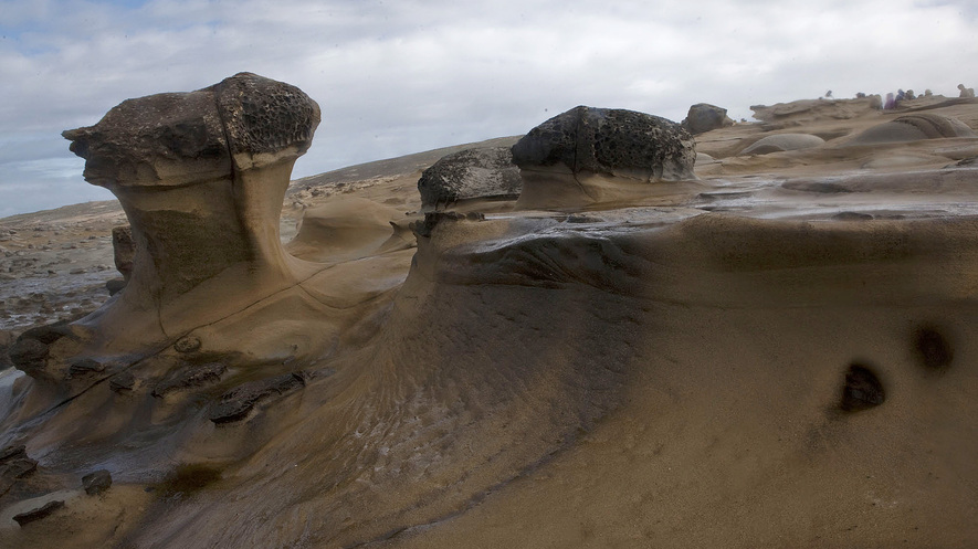 Newsela | Treasures from the real-life "Island of the Blue Dolphins