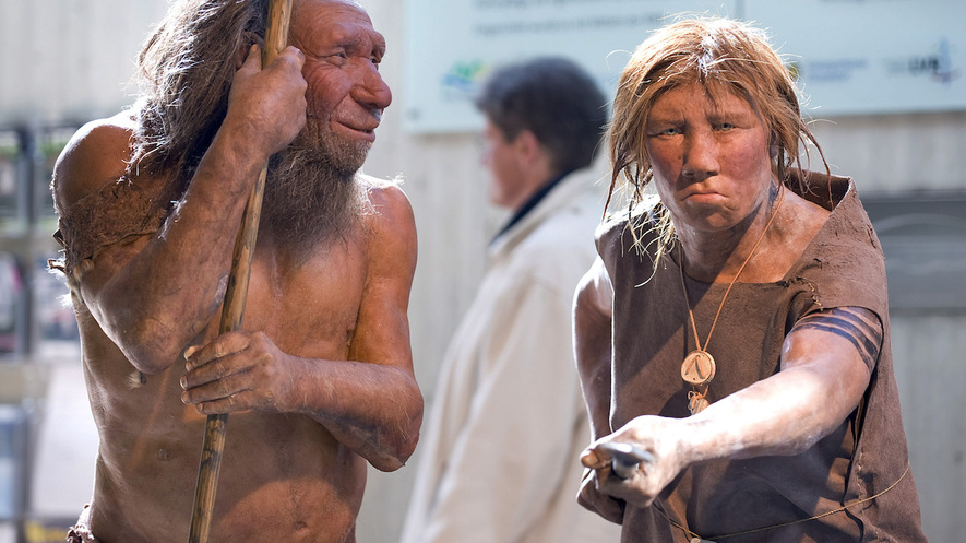 Newsela - Slow flow of human immigration may have doomed Neanderthals
