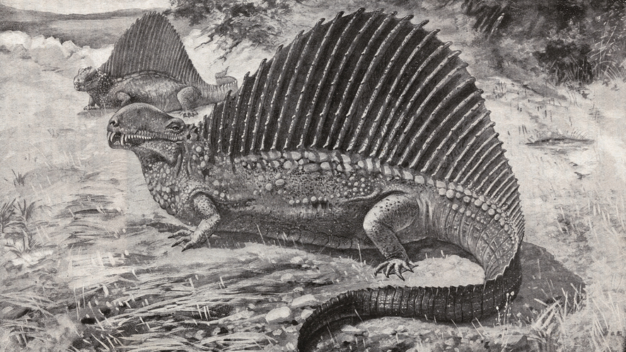 Newsela | The Permian extinction: When life nearly came to an end