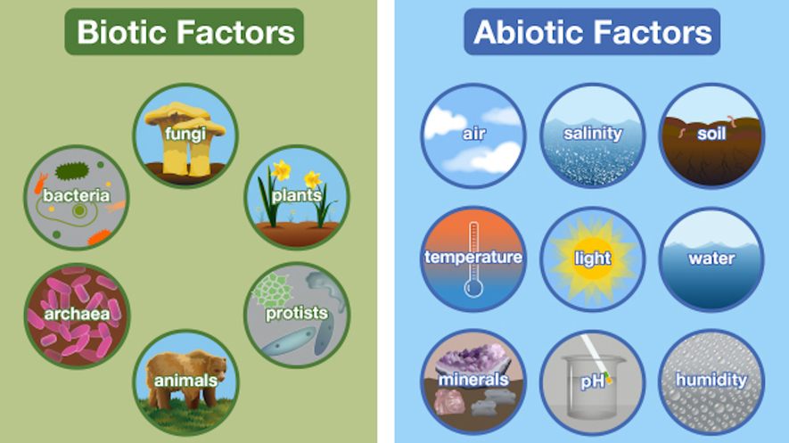Newsela Biotic and abiotic factors.
