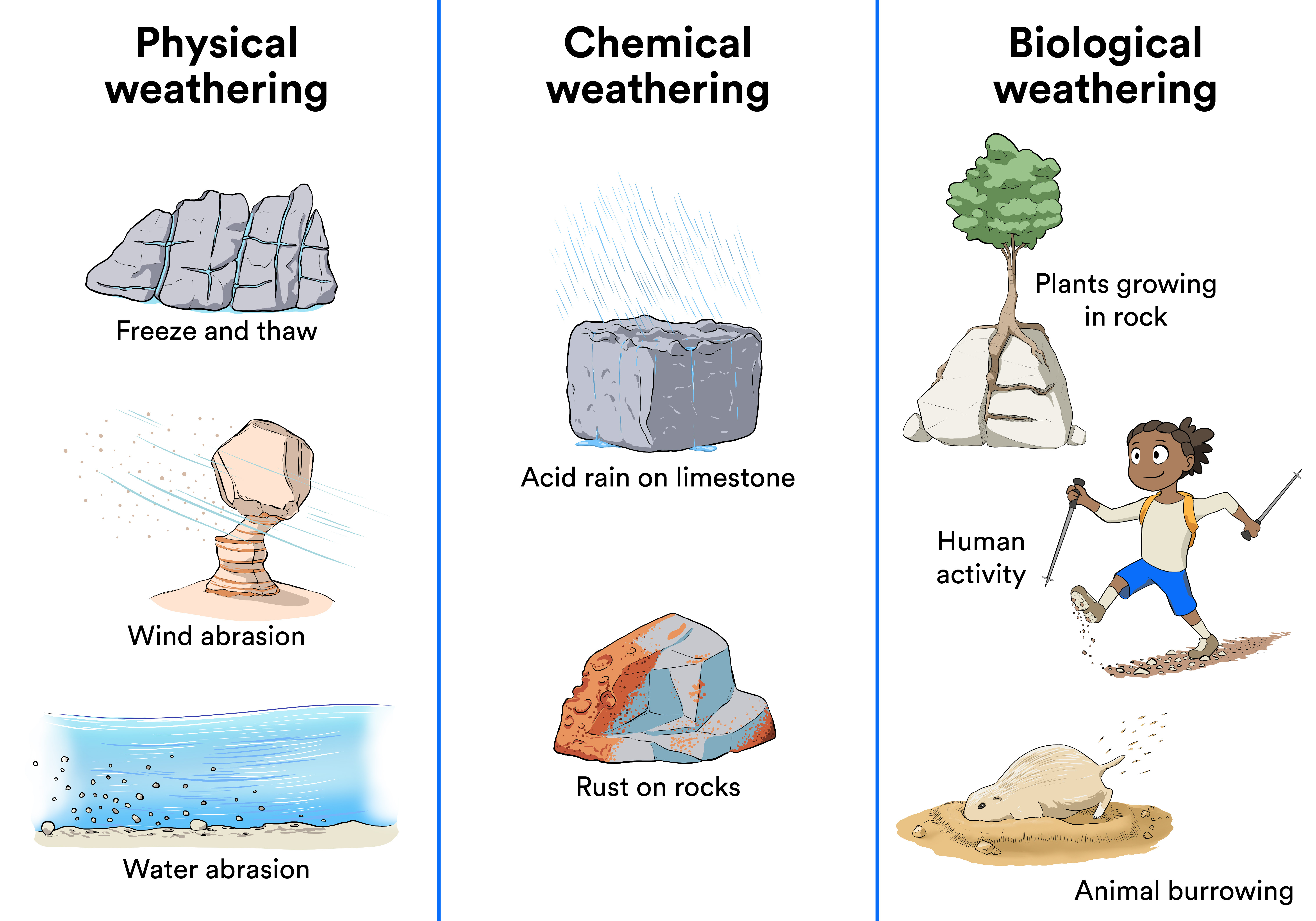 Newsela | Types Of Weathering